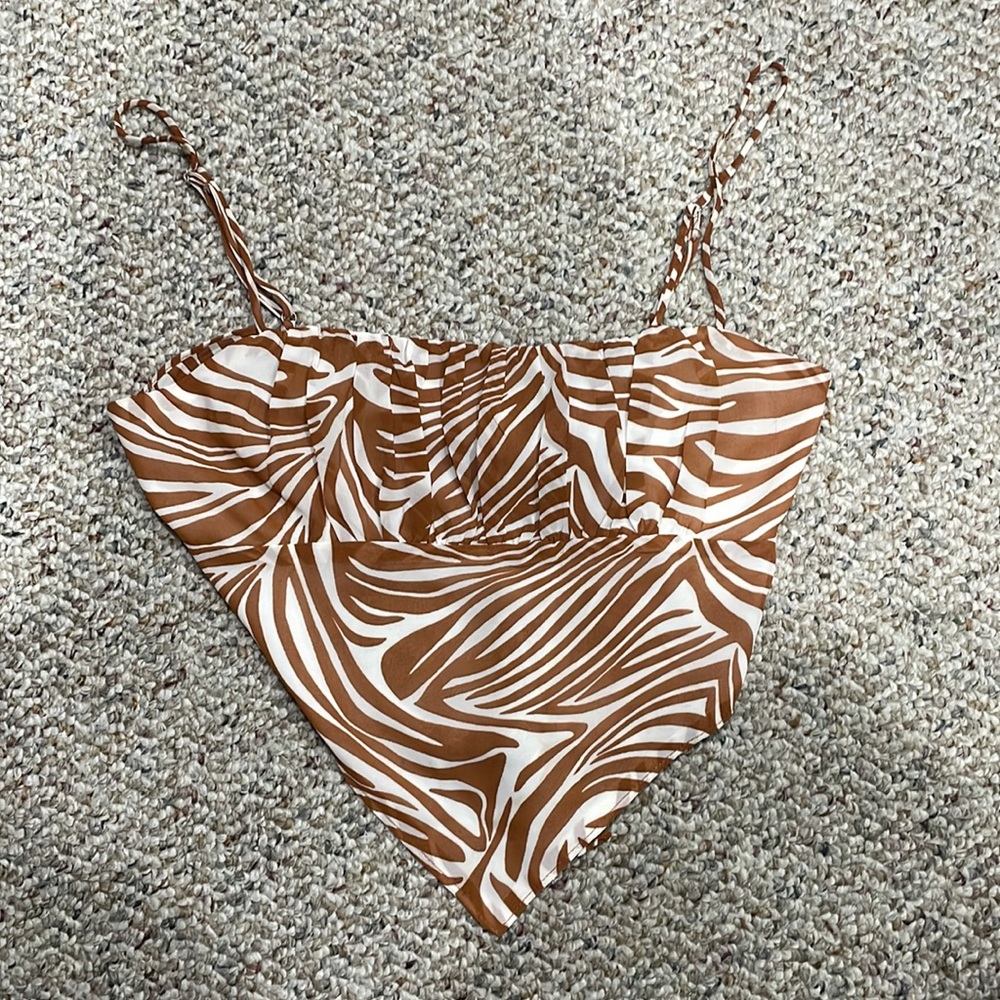 Orange and white zebra tank
